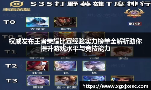 权威发布王者荣耀比赛经验实力榜单全解析助你提升游戏水平与竞技能力