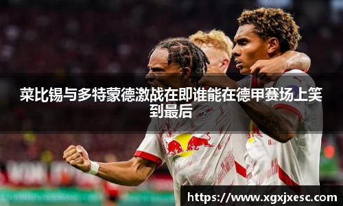 菜比锡与多特蒙德激战在即谁能在德甲赛场上笑到最后